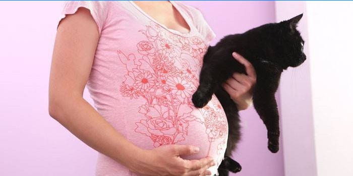 Ragazza incinta con gatto