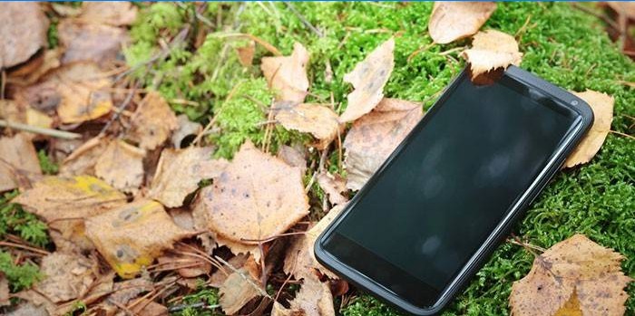 Telefono cellulare sull'erba