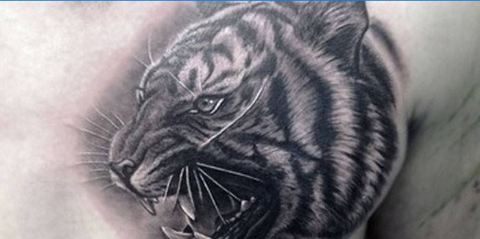 Tatuaggio testa di tigre