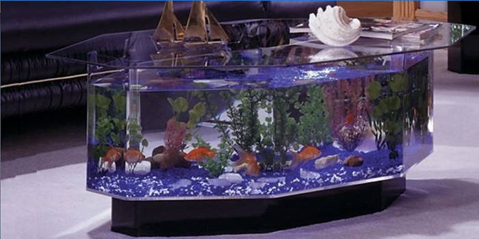Acquario all'aperto all'interno