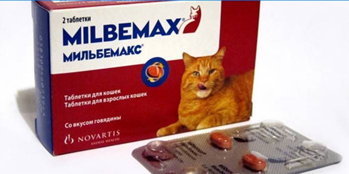 Pillole per gatti Milbemax nella confezione