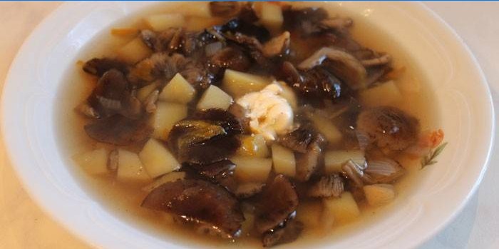Zuppa di patate con funghi freschi