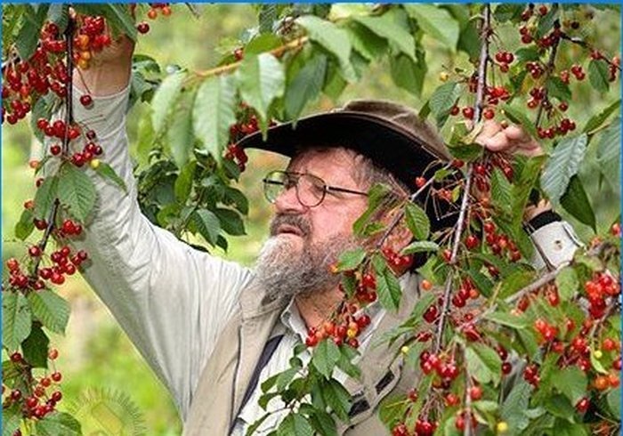 Coltivazione biologica. Permacultura: vivere in armonia con la natura