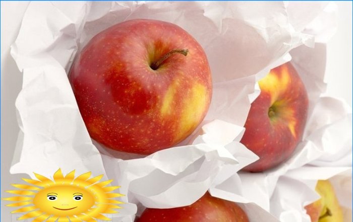 Come raccogliere e conservare correttamente le mele