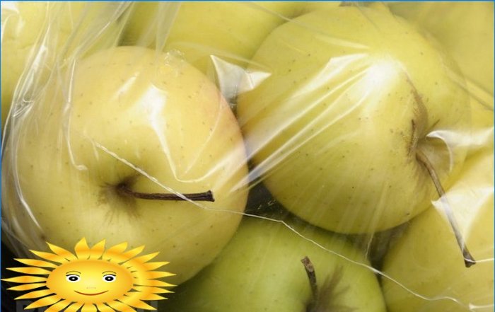 Come raccogliere e conservare correttamente le mele
