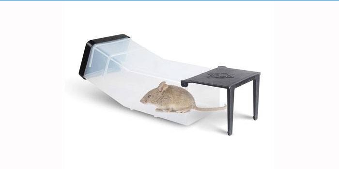 Trappola per casa in plastica