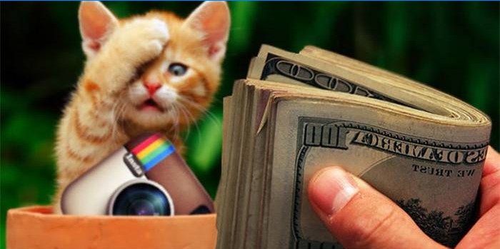 Gattino, icona di Instagram e soldi in mano