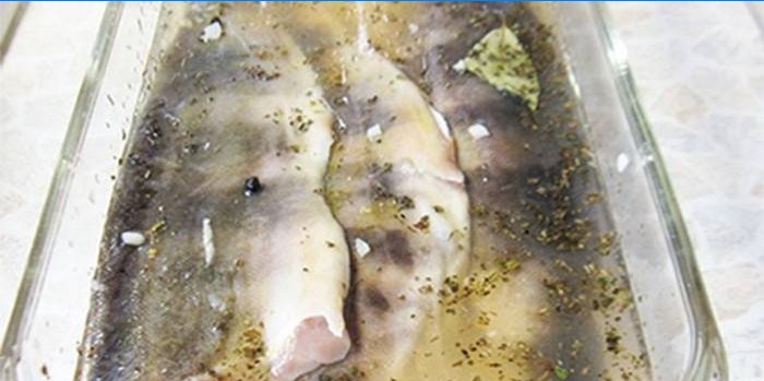 Carcasse di pesce sotto una marinata bianca