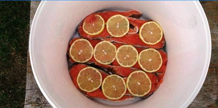 Pesce rosso sotto la marinata con limone