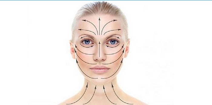 La direzione delle linee di massaggio sul viso
