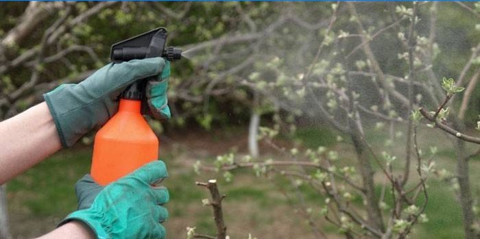 Lavorazione di alberi con solfato di rame