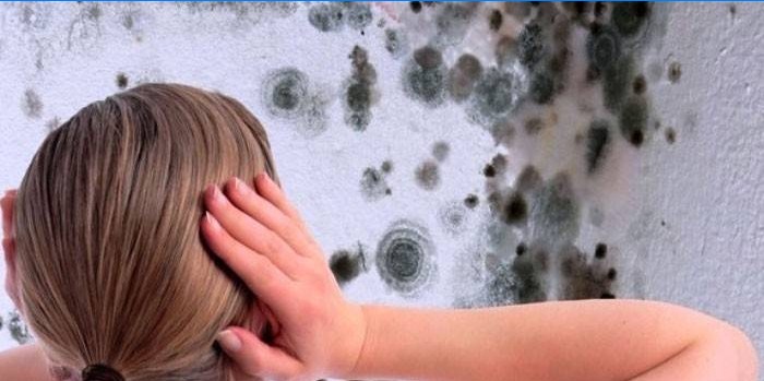 La ragazza guarda il fungo sul muro