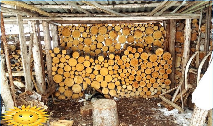 Deposito di legna da ardere sotto un baldacchino