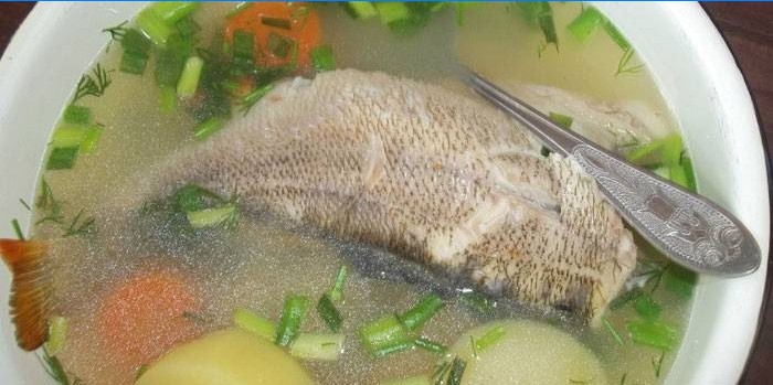Zander e pesce persico in un piatto