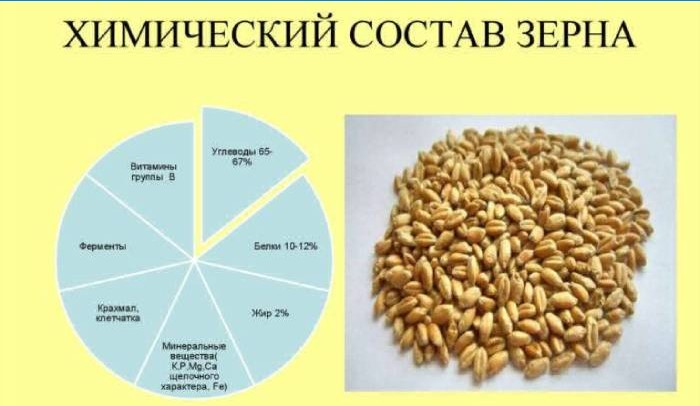 La composizione chimica del grano
