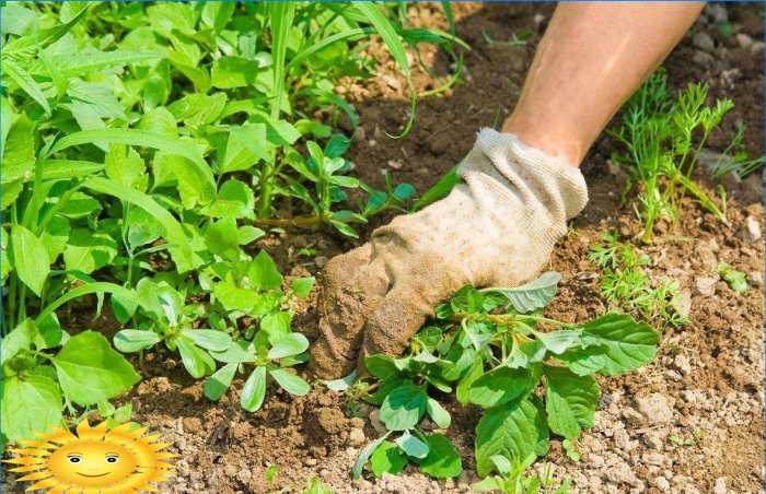 Diserbo del giardino