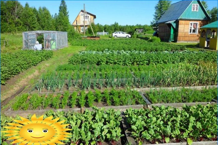 Disposizione del giardino - prepararsi per piantare verdure nei letti