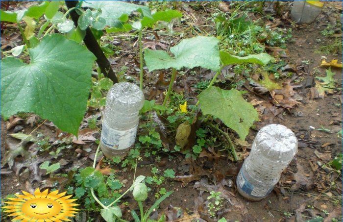 Irrigazione a goccia con bottiglie di plastica
