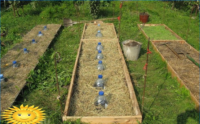 Irrigazione a goccia con bottiglie di plastica