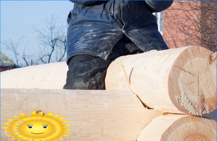 Registro di abbattimento manuale per la costruzione di una casa di tronchi
