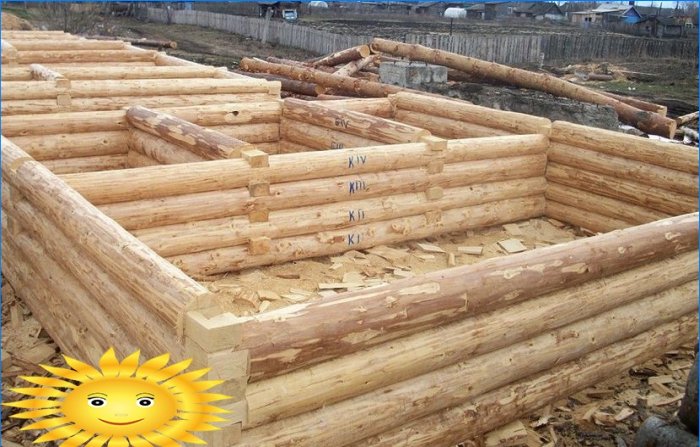 Registro di abbattimento manuale per la costruzione di una casa di tronchi