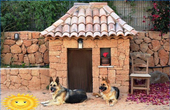 Cabine e case per cani