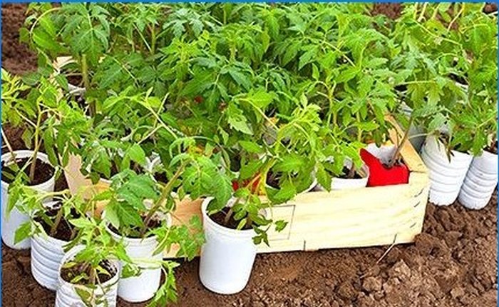 Come coltivare ortaggi precoci senza serra