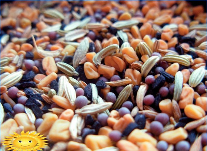 Come scegliere i semi in sacchetti di semenzali