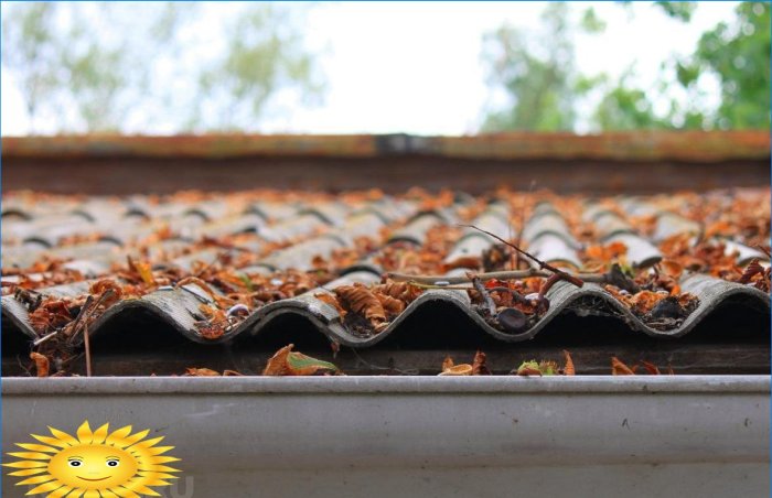 Protezione delle coperture del tetto da muschio e sporco