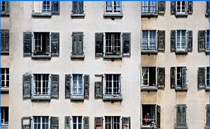 Euro windows