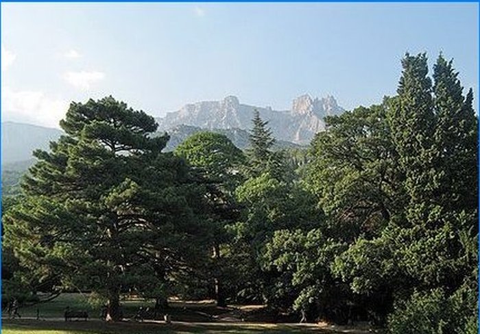 Parco Alupka