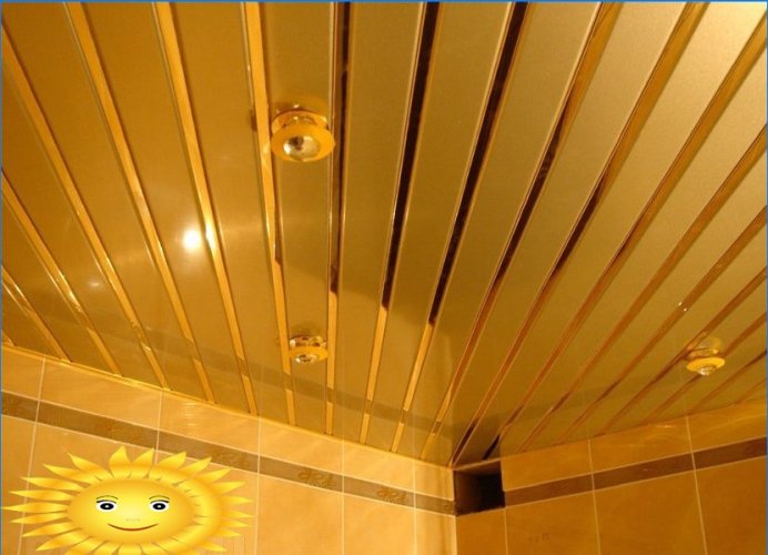 Rack a soffitto in bagno