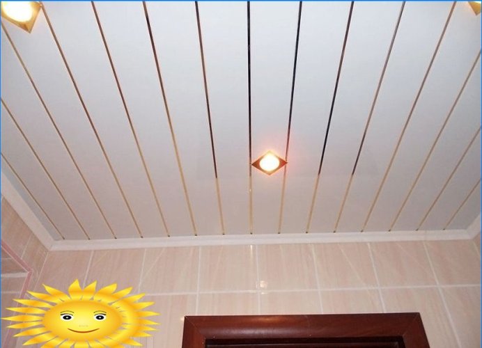 Rack a soffitto in bagno