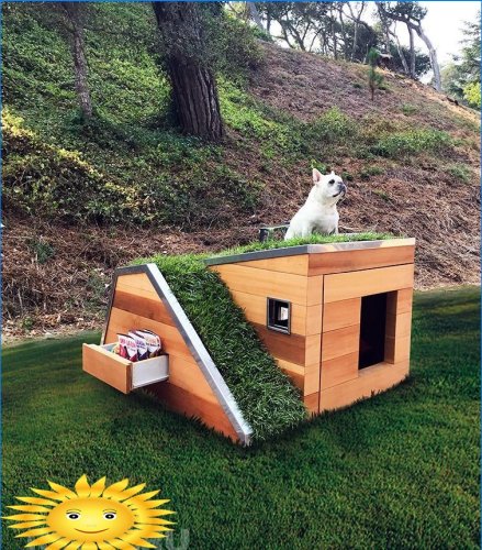 Eco-box per un cane dell'azienda Schicketanz