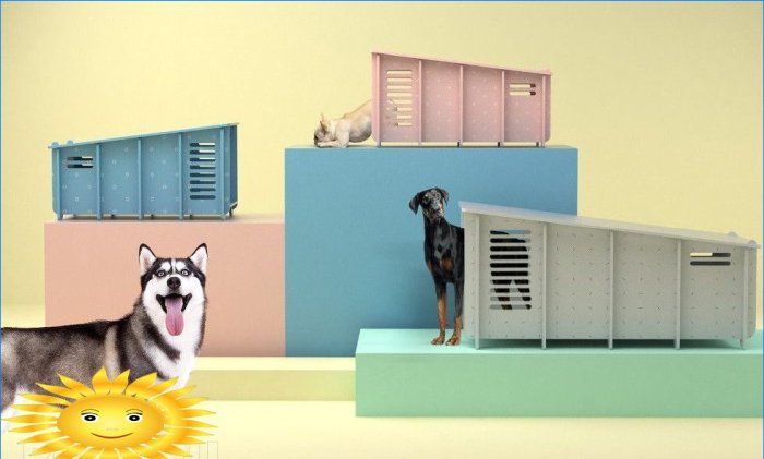 Collezione Dog House di Barkitecture