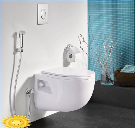 Sostituzione del bidet: docce e bidet igienici