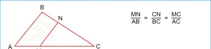 Triangoli simili