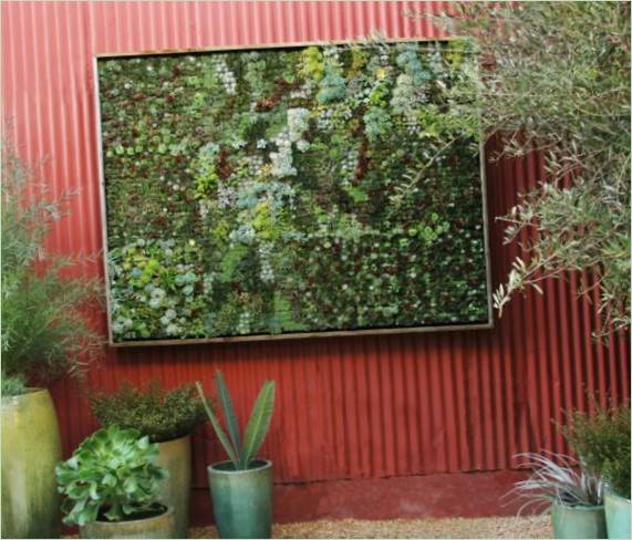 Progettazione dell'area giardino