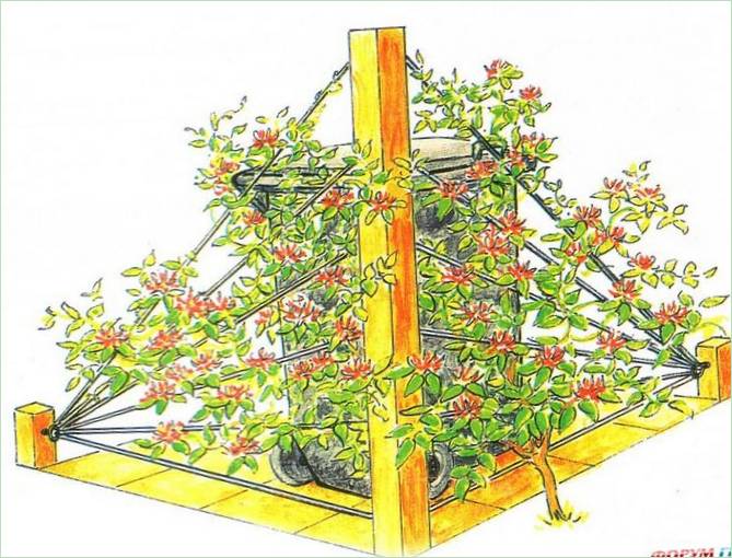 Decorare un'area con un cestino dei rifiuti