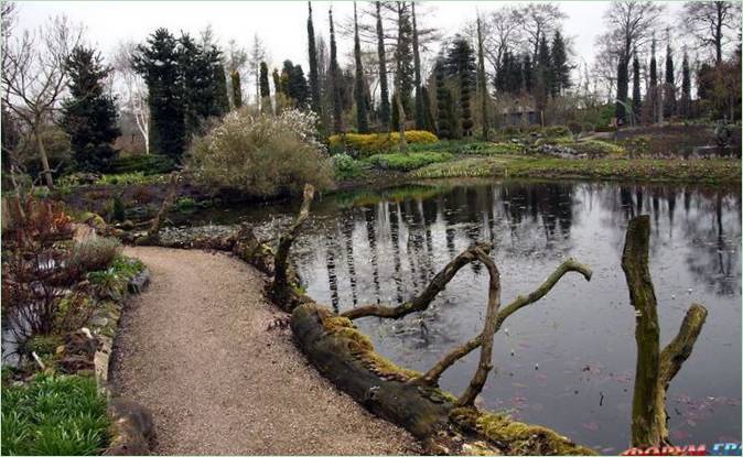 Il giardino botanico acquatico Ada Hoffman