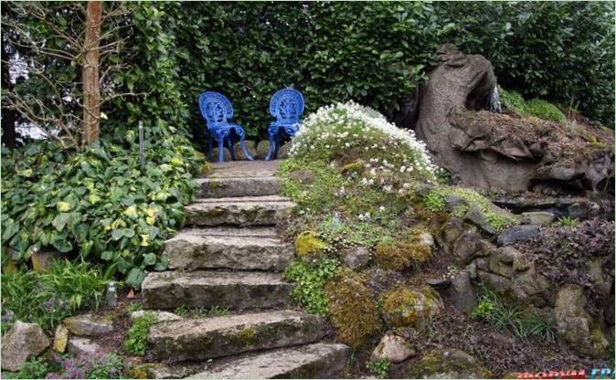 Il Giardino botanico acquatico Ada Hoffmann