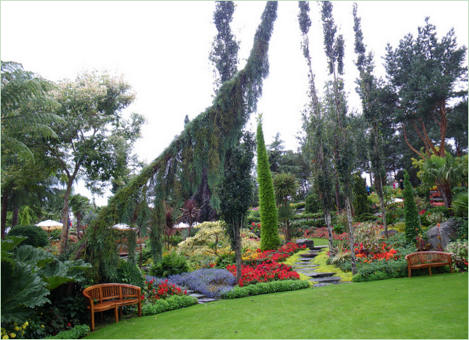 Giardino tropicale in Norvegia