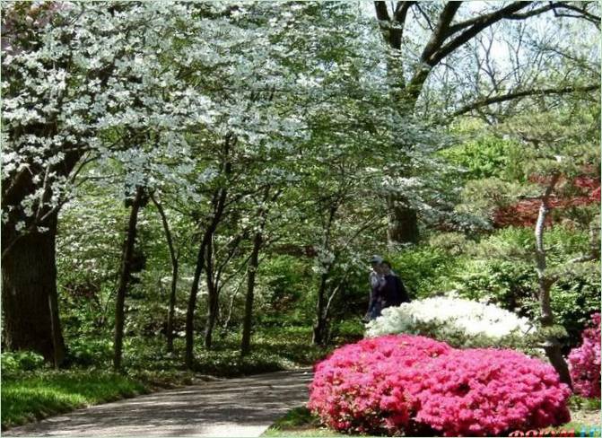 Giardino botanico del Missouri negli Stati Uniti