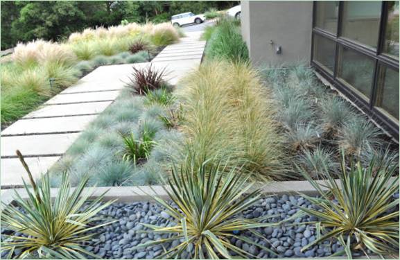 Progettare il giardino con lo xeriscaping