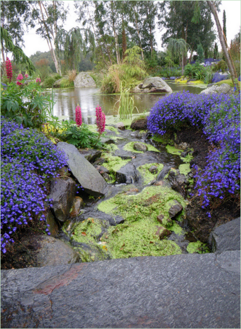 Un giardino tropicale in Norvegia