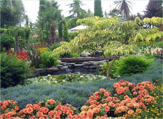 Giardino tropicale in Norvegia