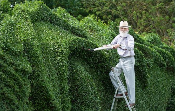Scultura di drago di John Brooker