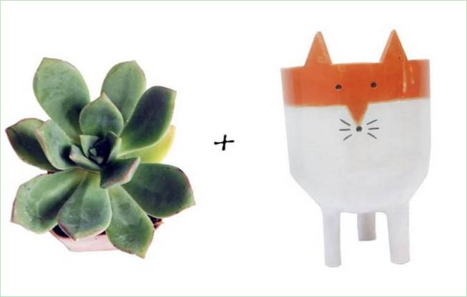Idee per il giardino: Succulente + vaso Fox in ceramica di Minky Moo Ceramics