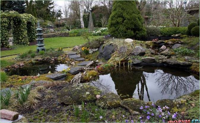 Il giardino botanico acquatico di Ada Hoffman