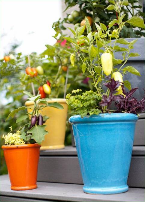 Design decorativo del giardino